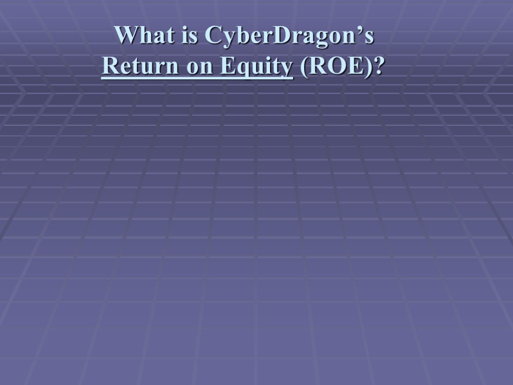 What is CyberDragon’s Return on Equity (ROE)?